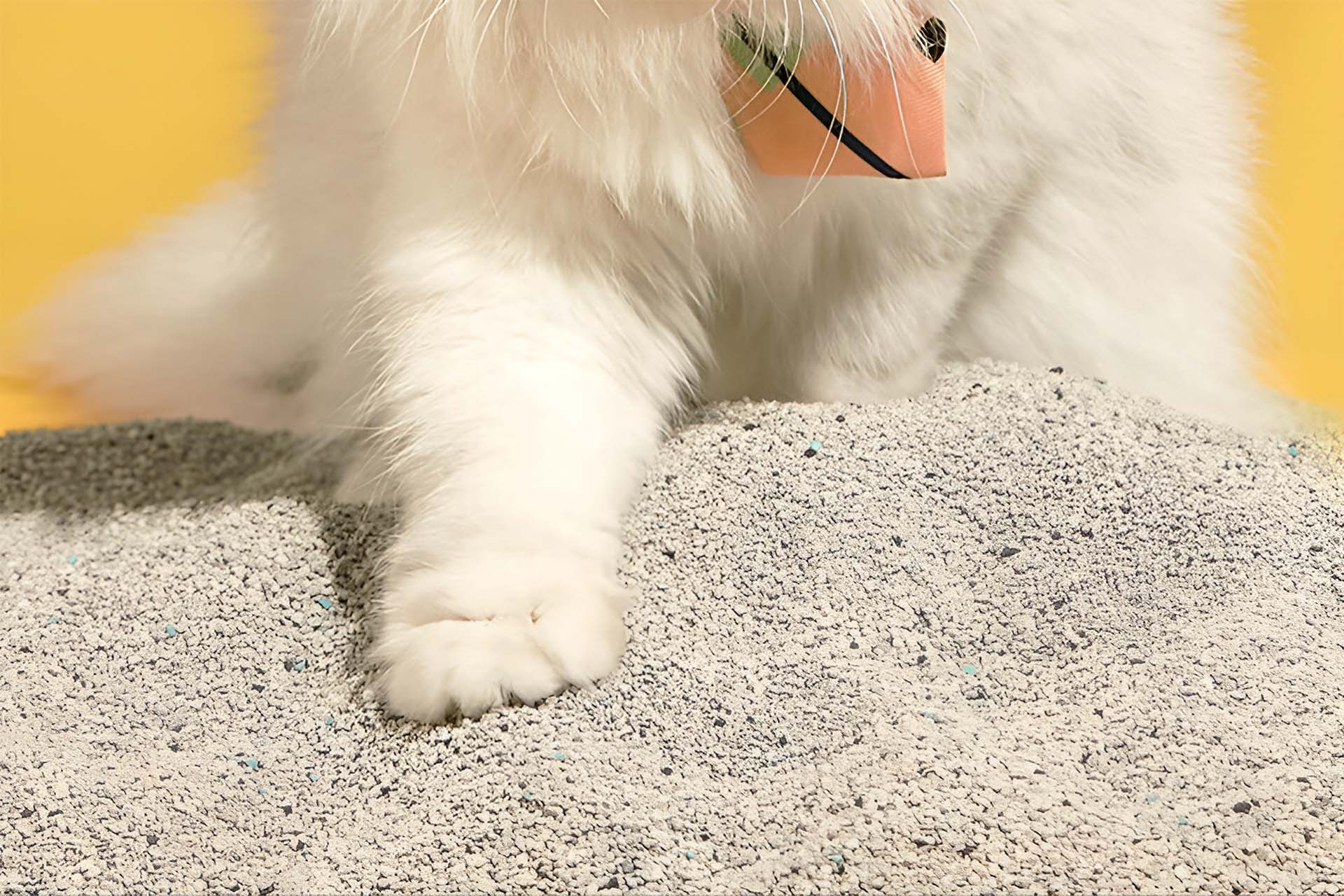 Dust Free Mineral Cat Litter