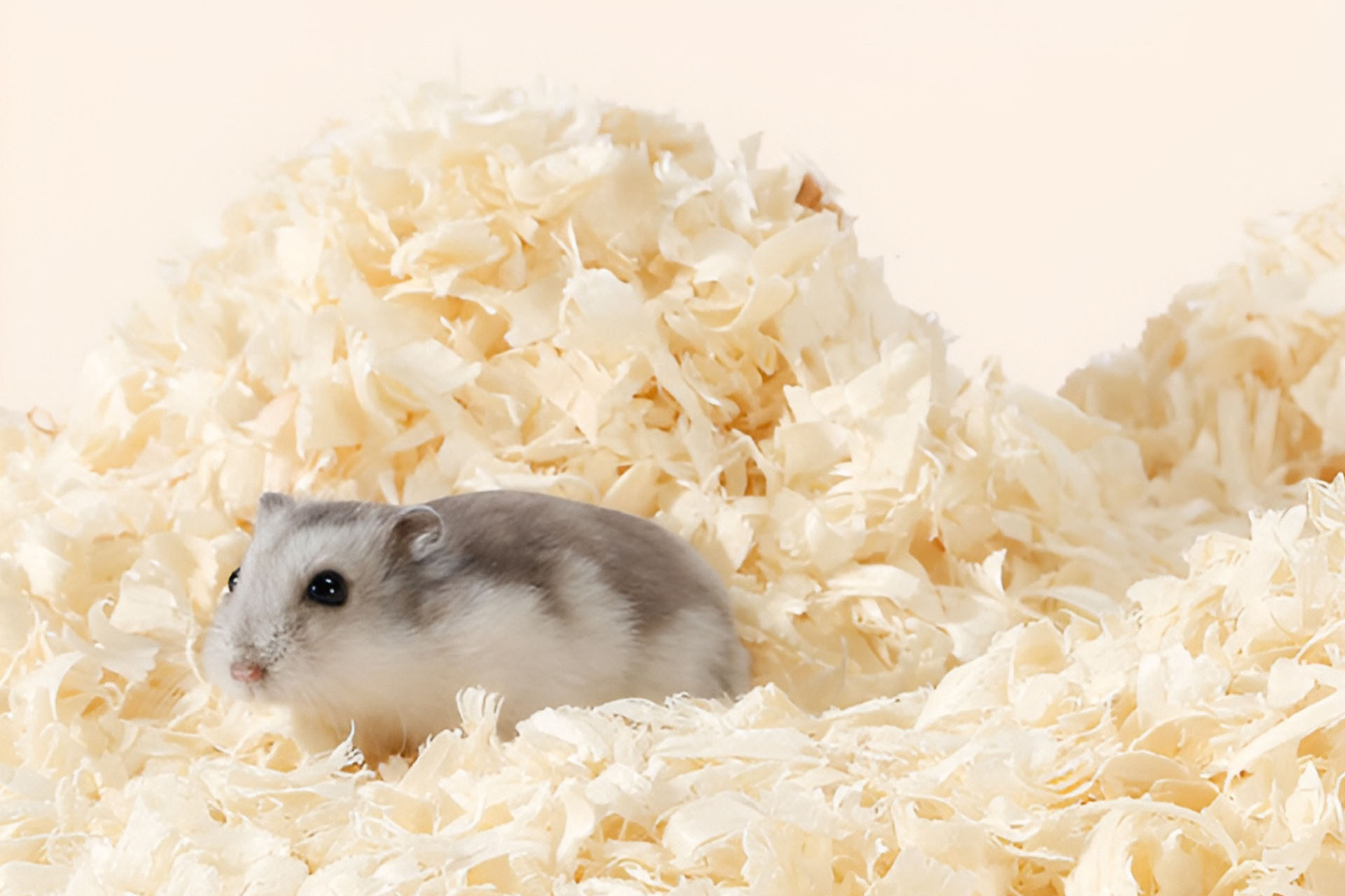 Small Pet Wood Shavings