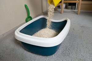 Switch Cat Litter