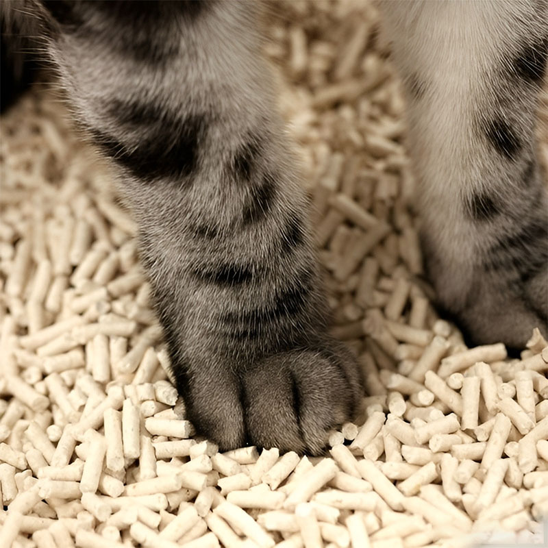 cat litter