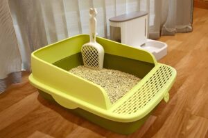 Cat Litter Box