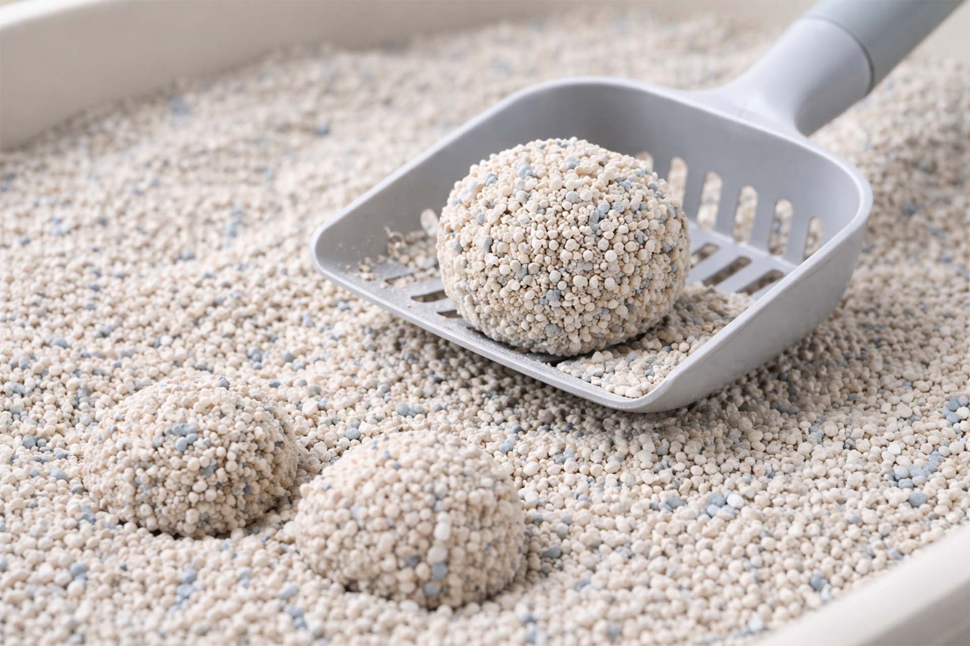 High-Quality Clumping Cat Litter