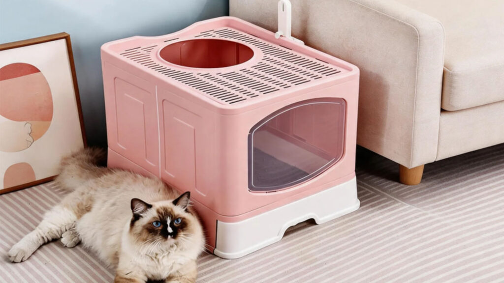 Litter box
