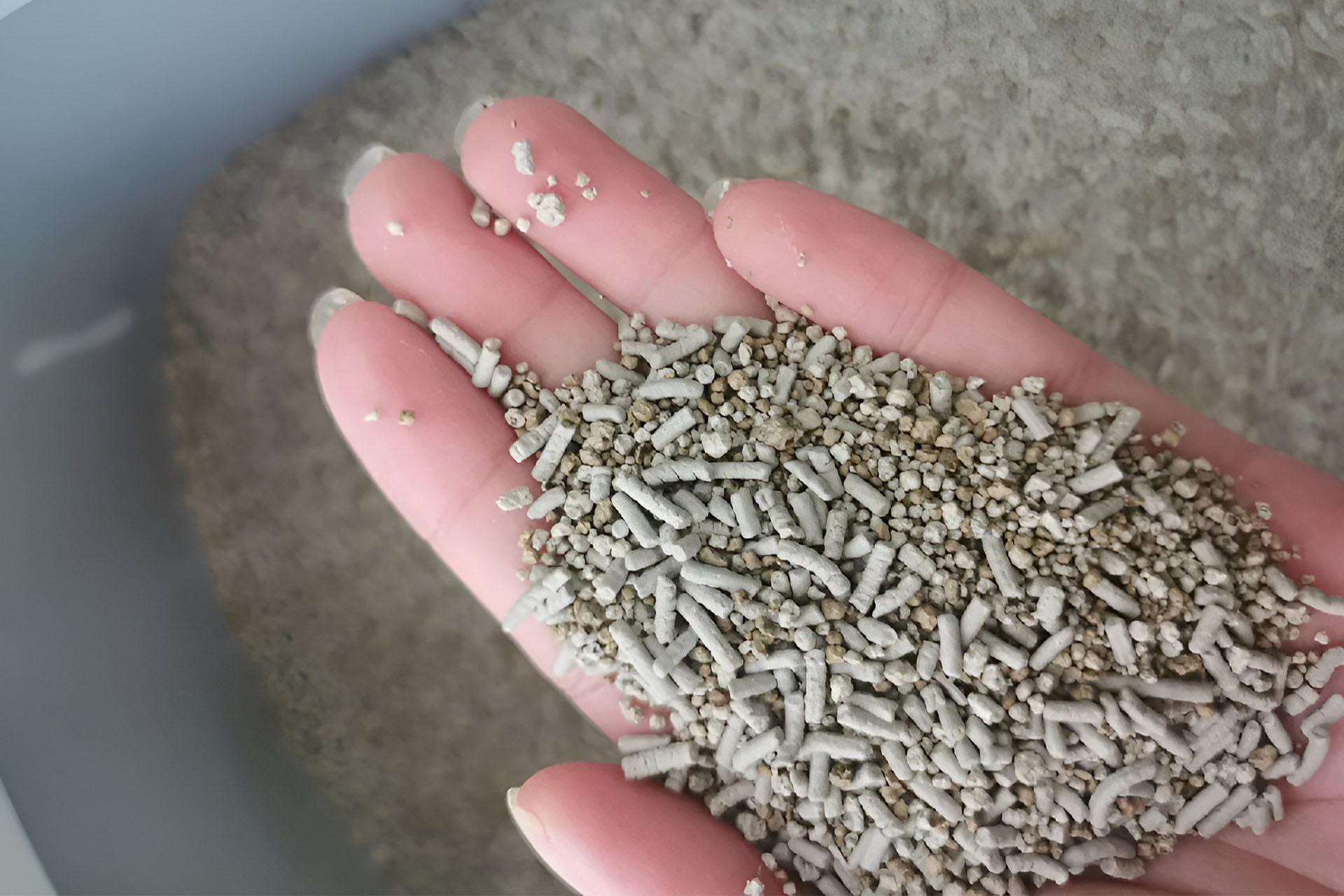 Low-Quality Cat Litter