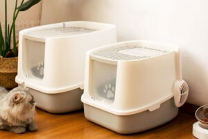 Multi-cat litter box solutions