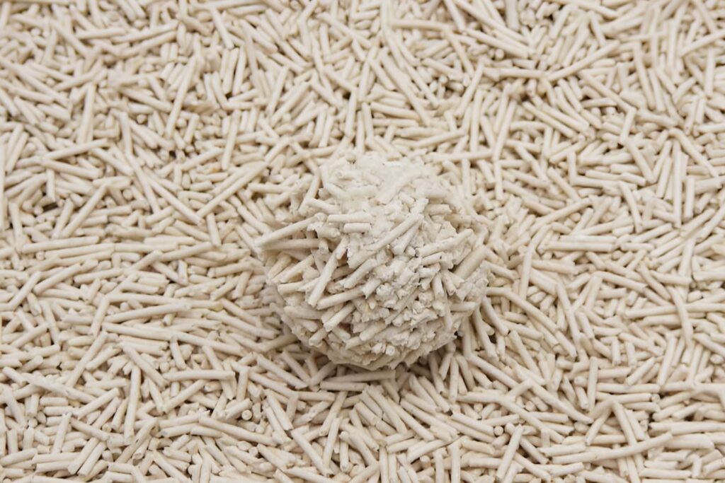 Tofu litter