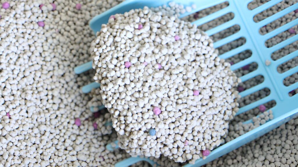 Bentonite cat litter
