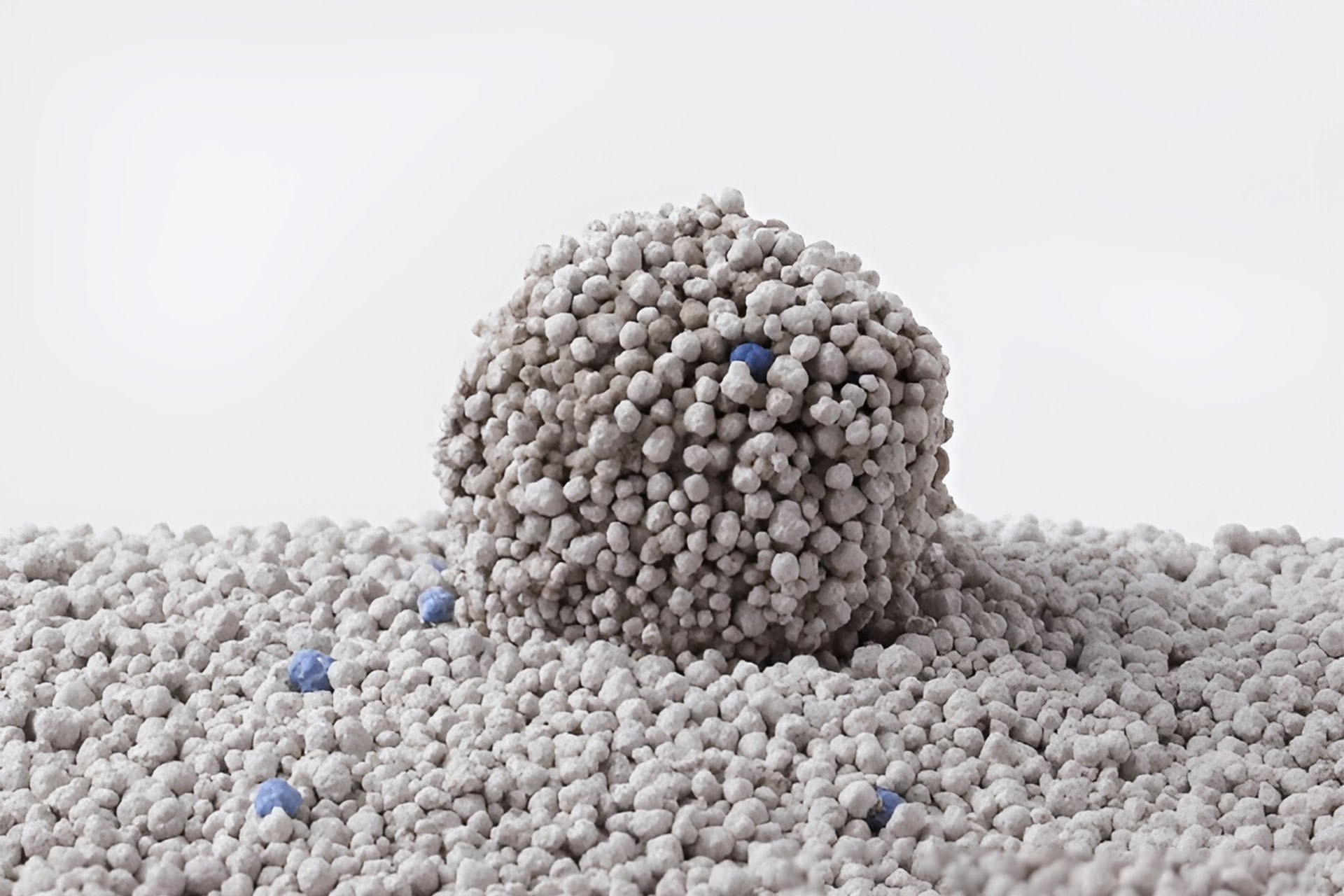 Best Cat Litter for Cats