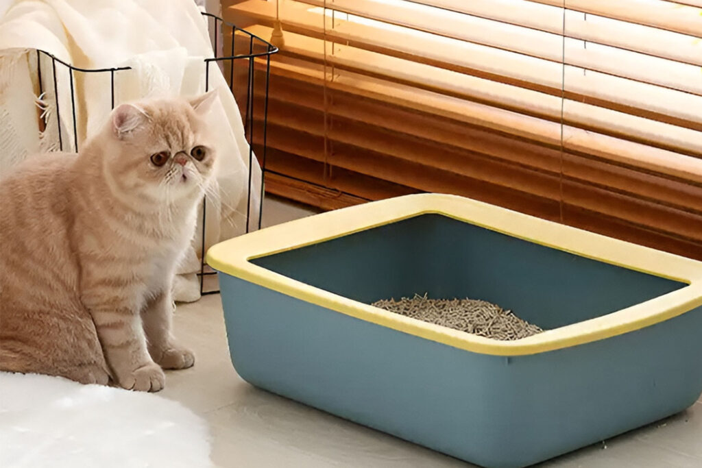 Cat litter odor control