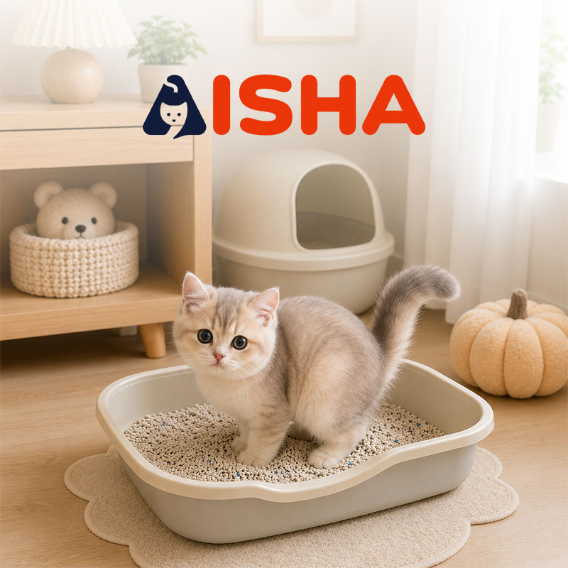 AiSha
