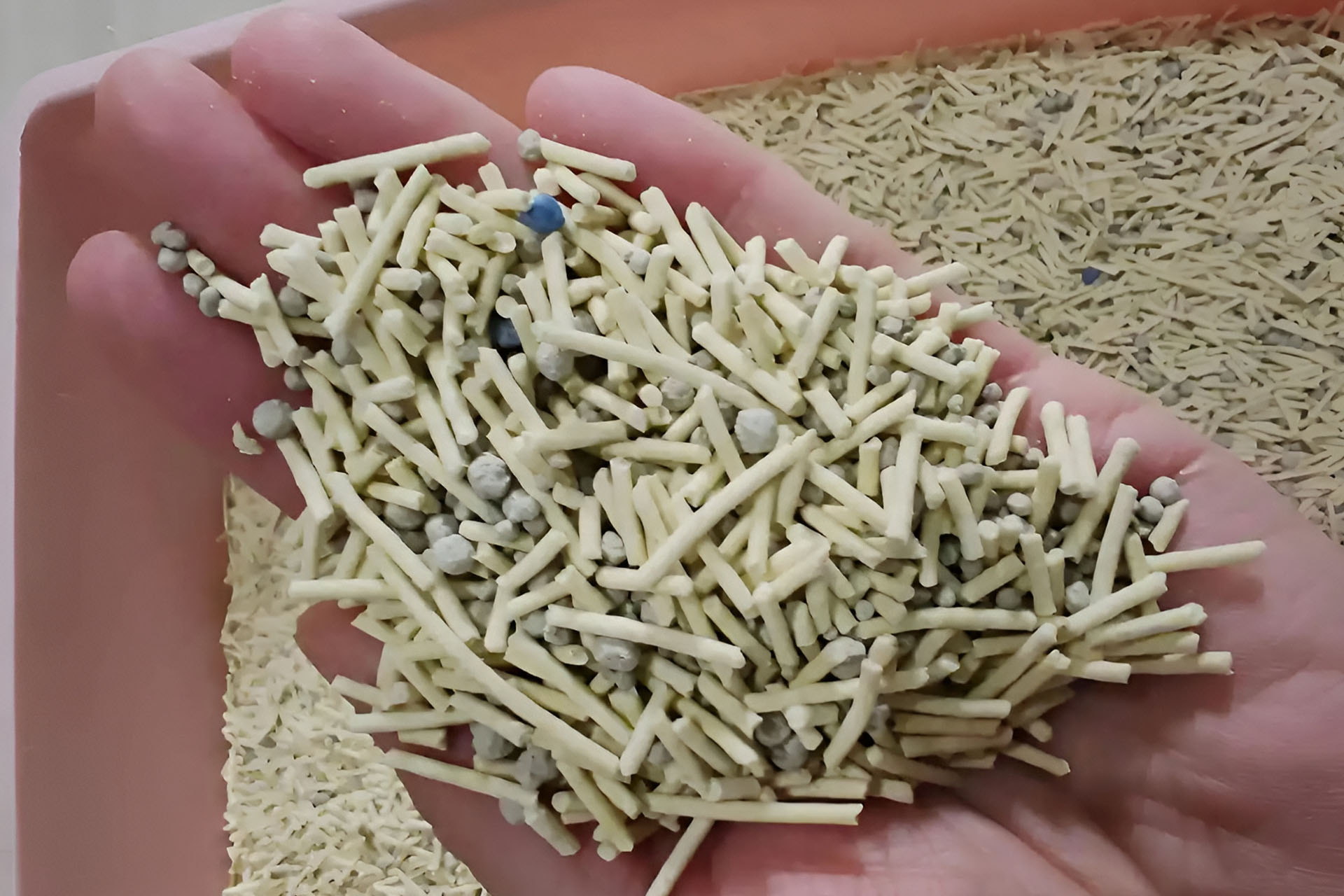 Mixed Cat Litter
