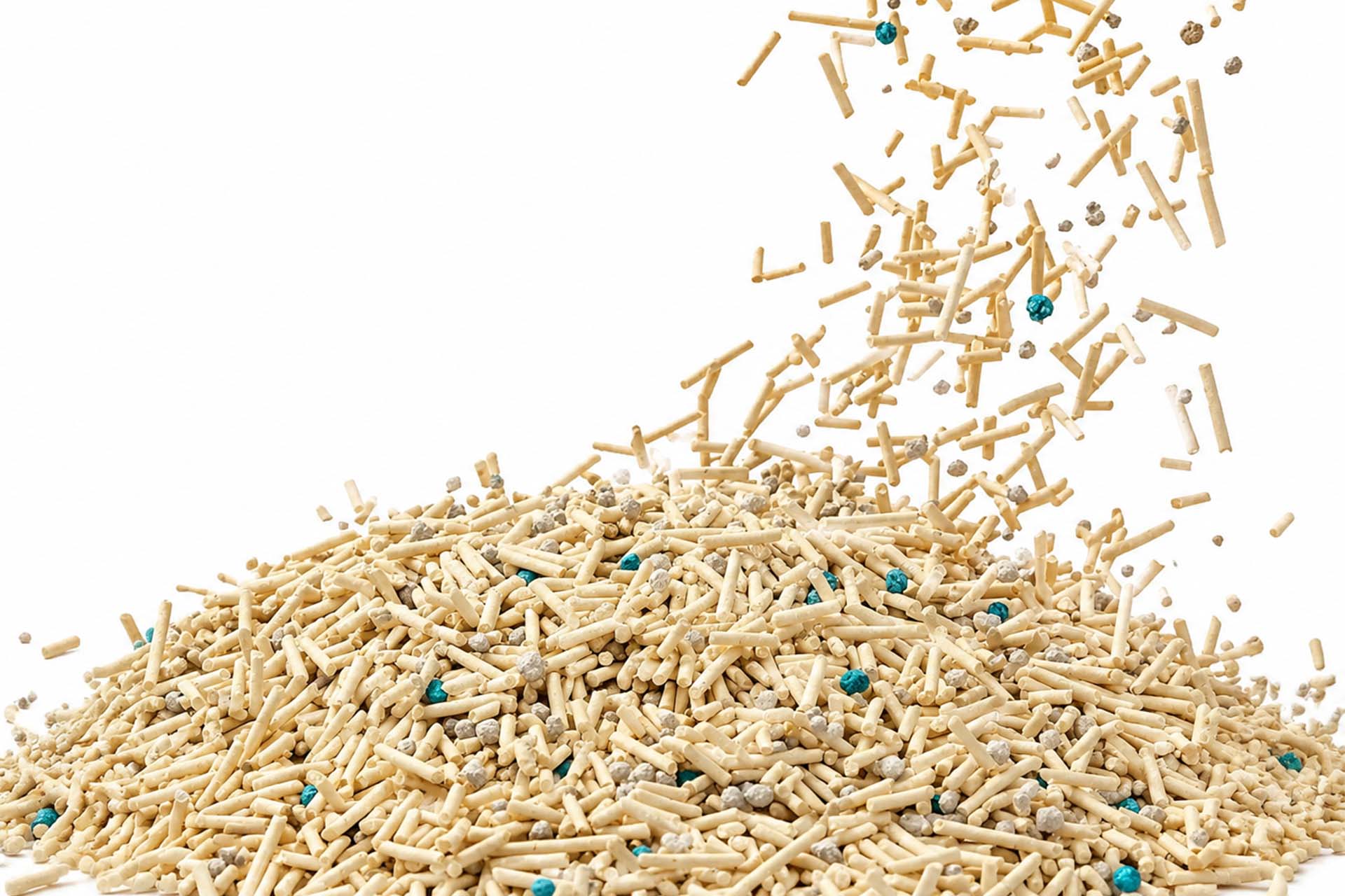 best kitty litter