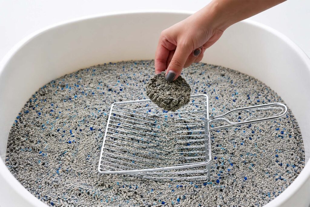 Clumping Cat Litter