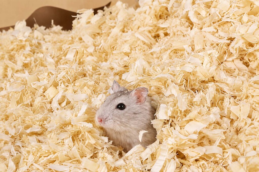 Wood Shavings Bedding